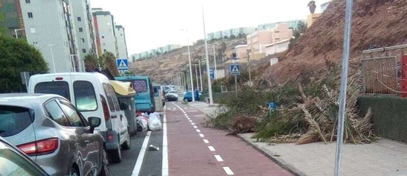 Restos de la poda vecinal en la calle de Manuel Alemán Álamo/TA.